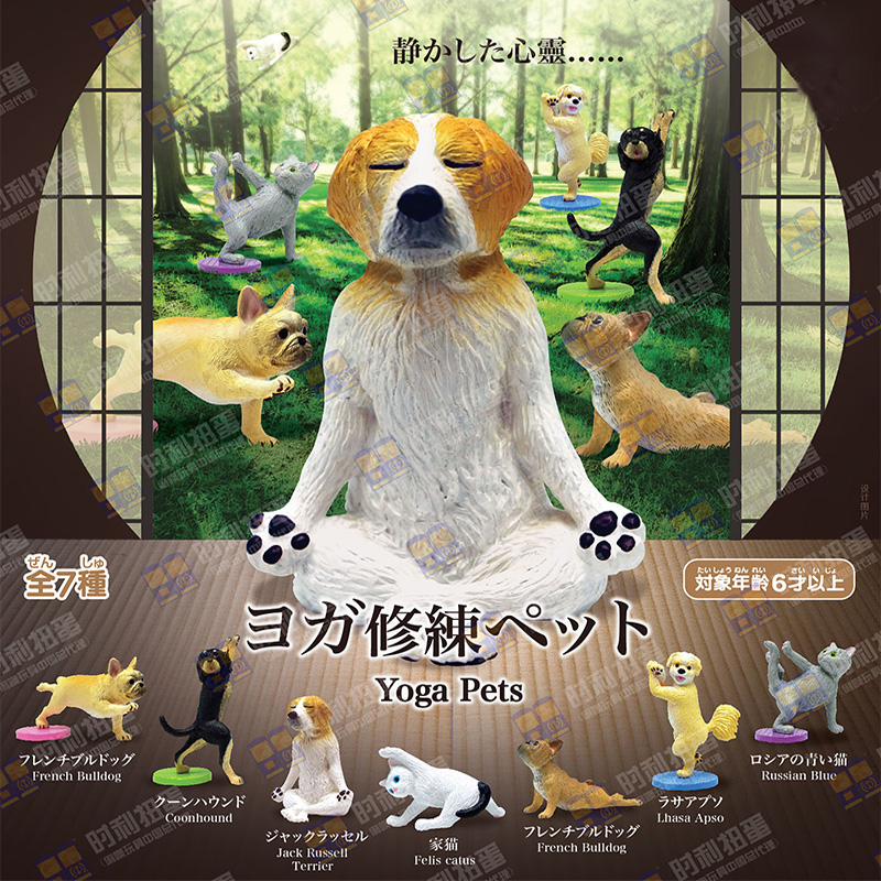 J626-7款佛系瑜伽貓咪小狗狗動物公仔擺件